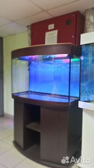 Аквариум 200 свет биофильтр фон подставка