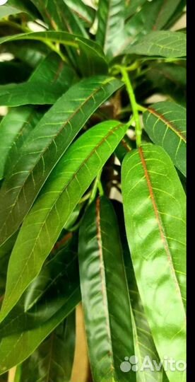 Искусственное дерево