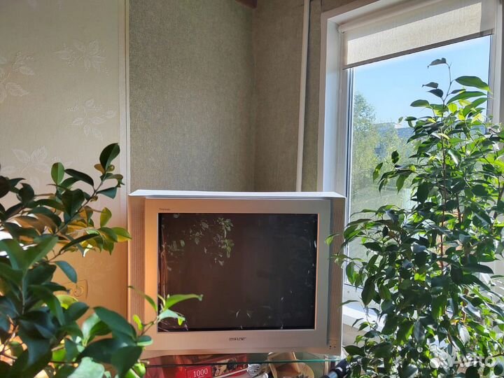 Телевизор sony