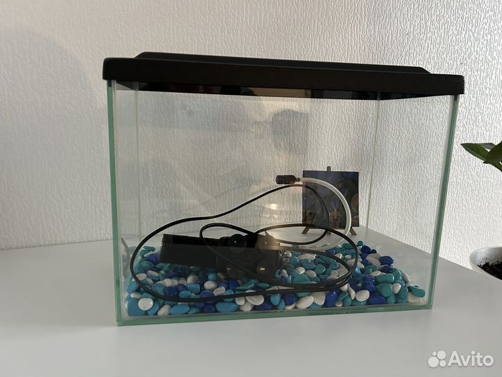 Аквариум 10 литров
