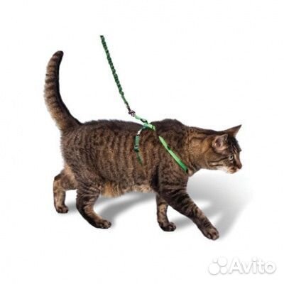 Шлейка для кошки