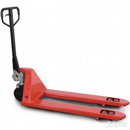 Рохля в аренду