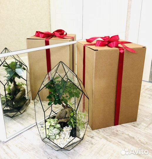 Флорариум с бонсай