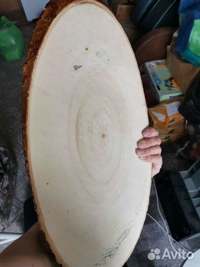 Пано-картина на срезе дерева