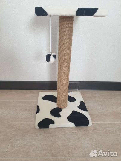 Когтеточка