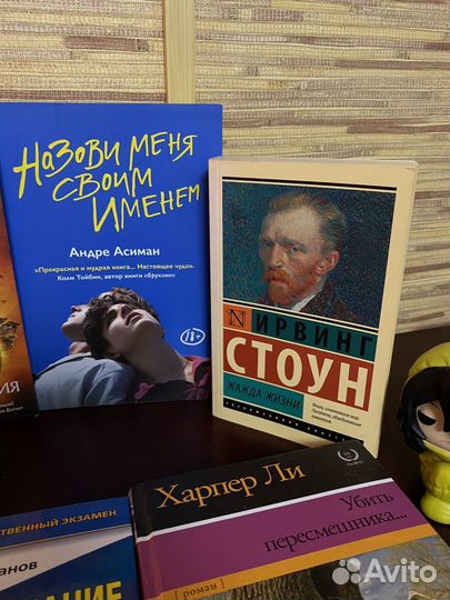 Книги, цены в подписи к товару