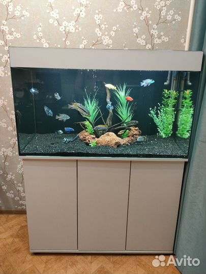 Аквариум 280 литров с тумбой