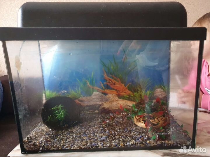 Аквариум