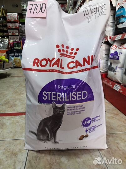 Корм для кошек роял канин Мэйн кун