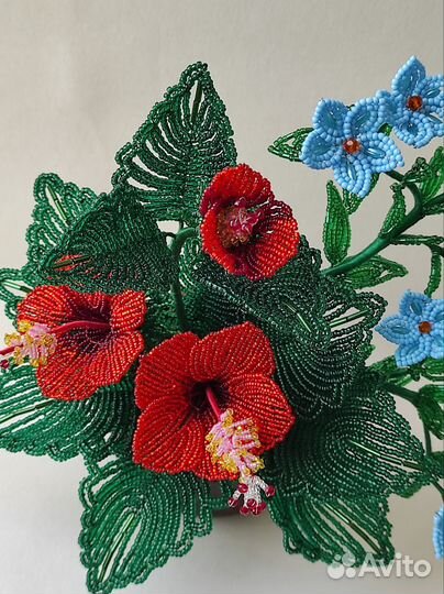 Тайная мечта