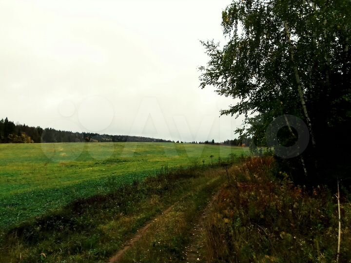 Участок 3,2 га (СНТ, ДНП)