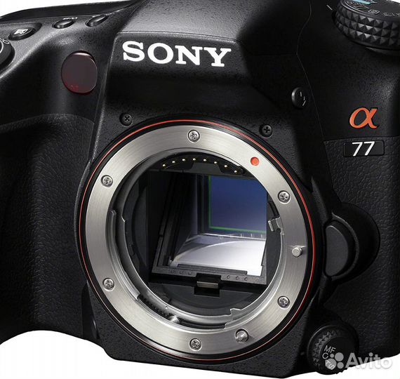 Sony a77V + 16-50 2.8