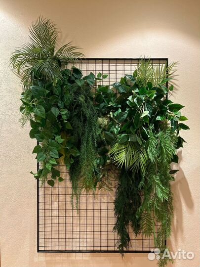 Фито панно, озеленение стен иск растениями и мхом