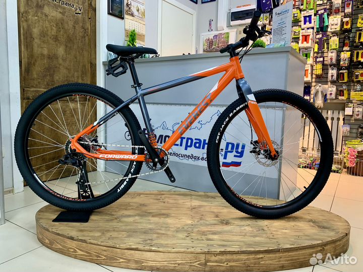 Forward Everest 29 D (2022)