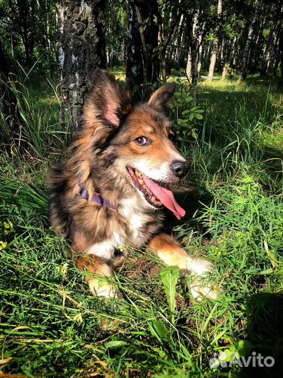 10 лет за решеткой