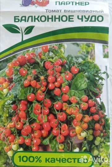 Балконное чудо рассада