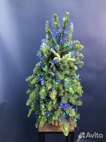 Елка живая из нобилиса