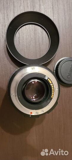 Sigma 17 50 2.8 canon