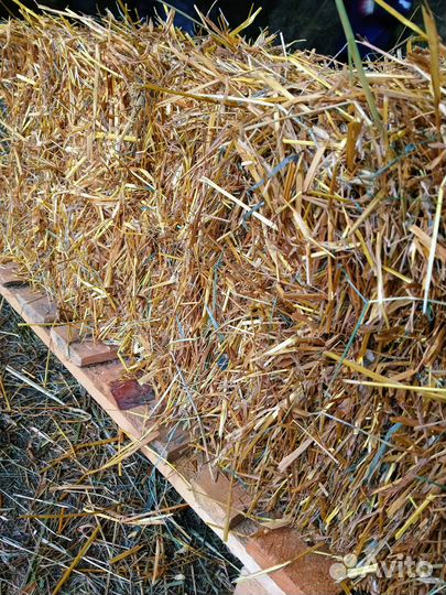 Солома в тюках 20 кг