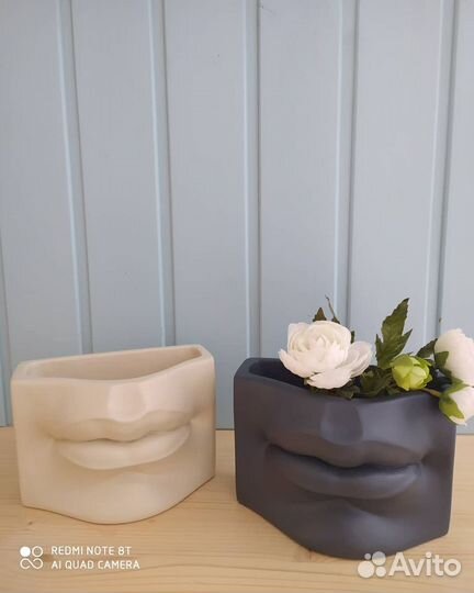 Кашпо органайзер губы Давида. Кашпо из гипса. Кашп