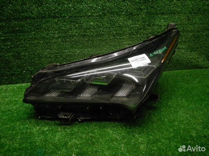 Фара левая Lexus NX200/NX200t/NX300/NX300h