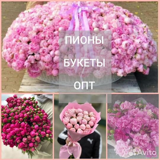 Пионы 51/101/201 пион с доставкой