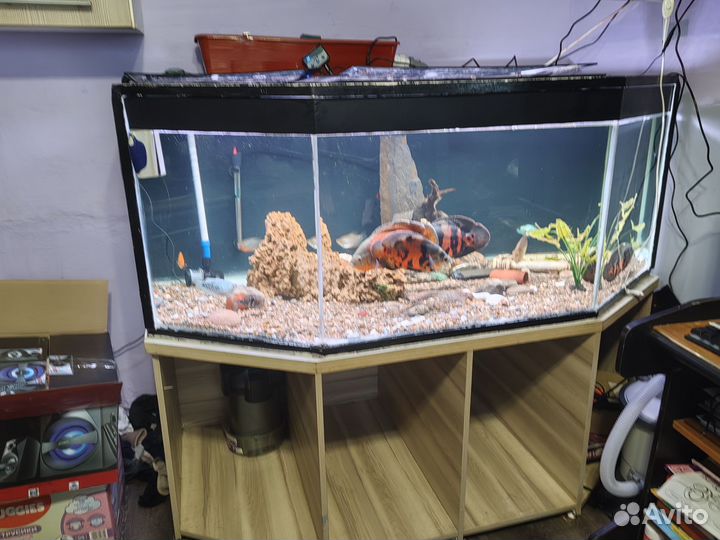 Аквариум с тумбой