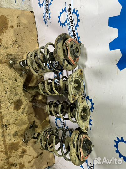 Амортизаторы в сборе nissan primera p12