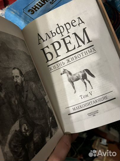 Коллекция книг 24 тома Альфред Брем Жизнь животных