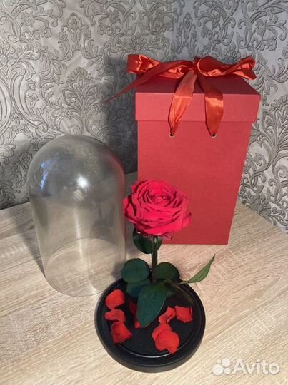 Роза в колбе