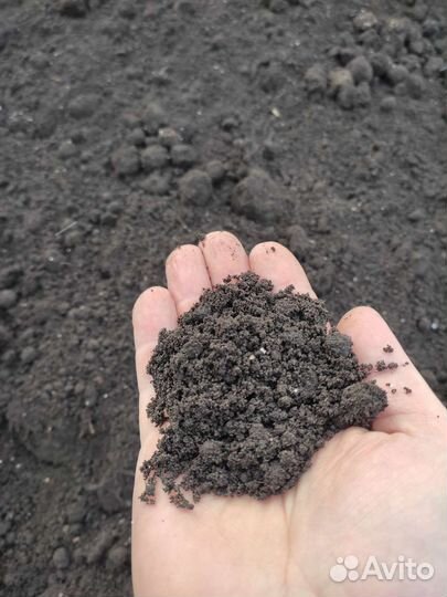 Плодородный Грунт Навоз Чернозем Перегной