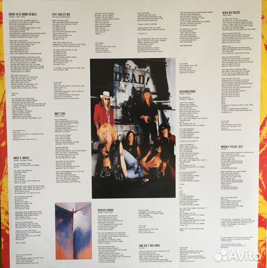 Виниловая пластинка Guns N' Roses, Use Your Illusi