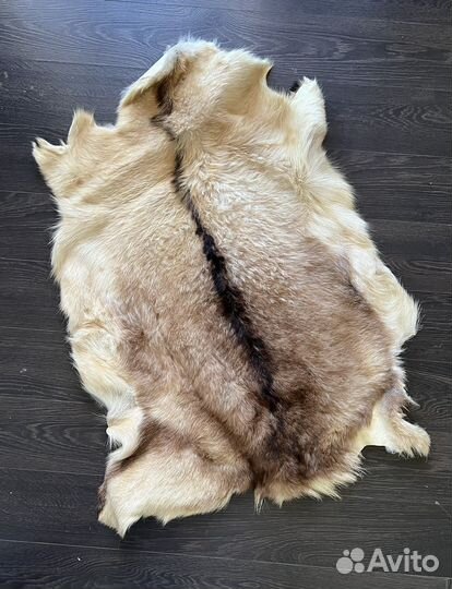 Шкура ковер натуральная