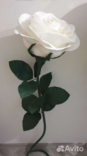 Ростовые цветы и светильники