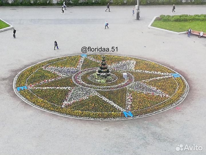 Озеленение