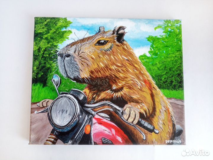 Капибайкер