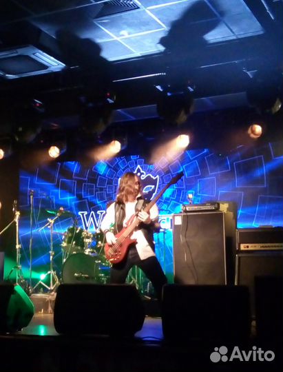 Гитара/бас-гитара/барабаны/балалайка/домра/укулеле