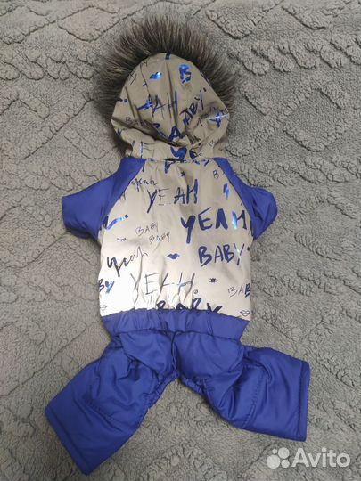 Одежда для маленькой собачки