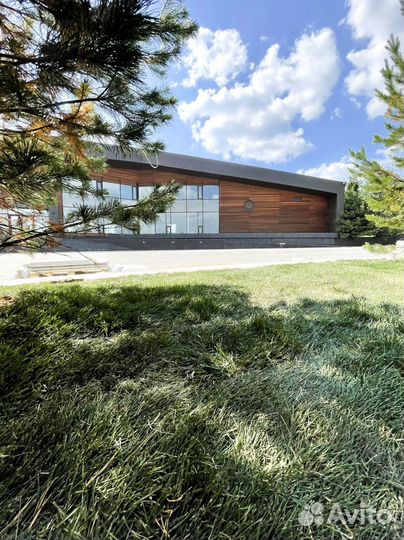 Рулонный газон 