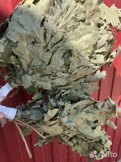 В наличии Веники дубовые