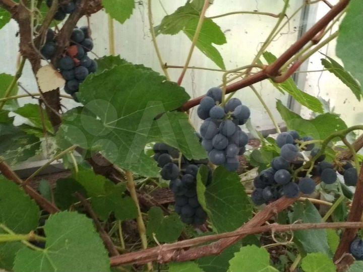 Дом 80 м² на участке 14 сот.