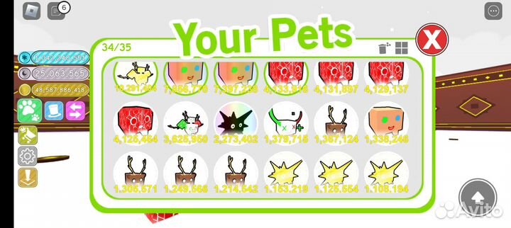 Pet Simulator