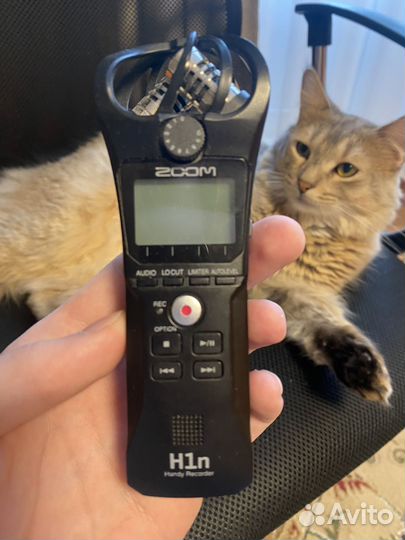 Рекордер zoom h1n
