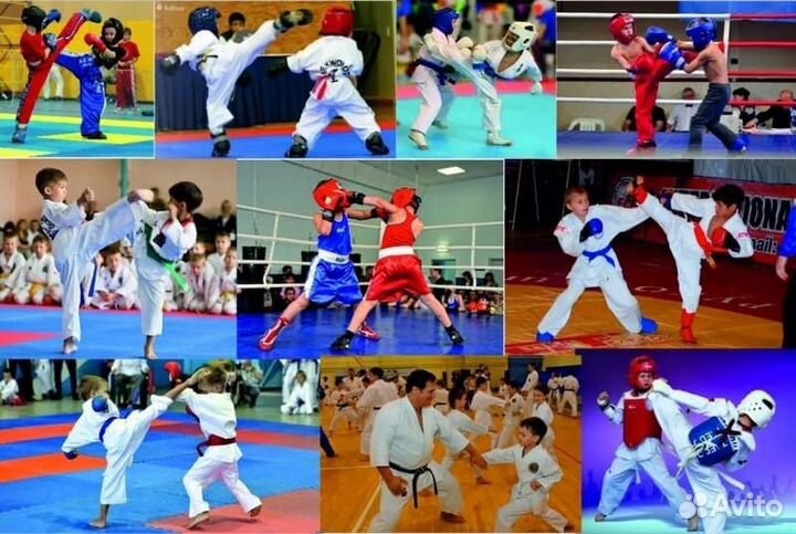 Экипировка для единоборств