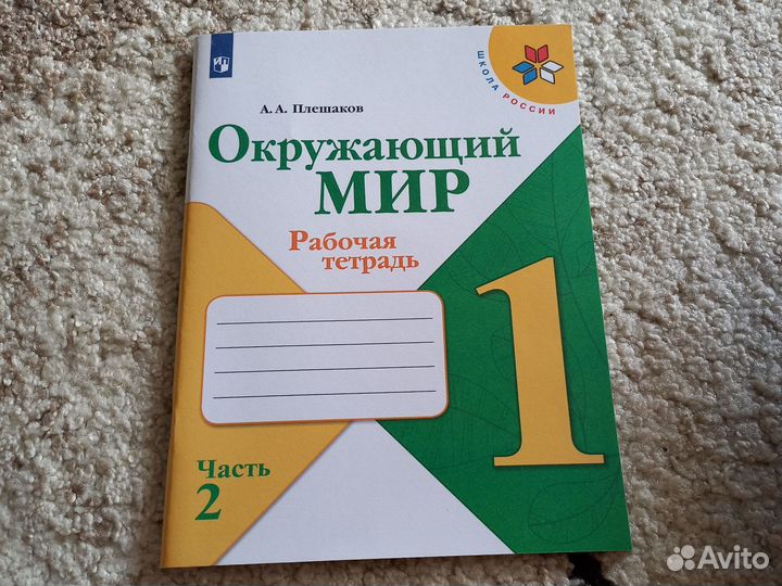 Рабочая тетрадь 1 класс окружающий мир