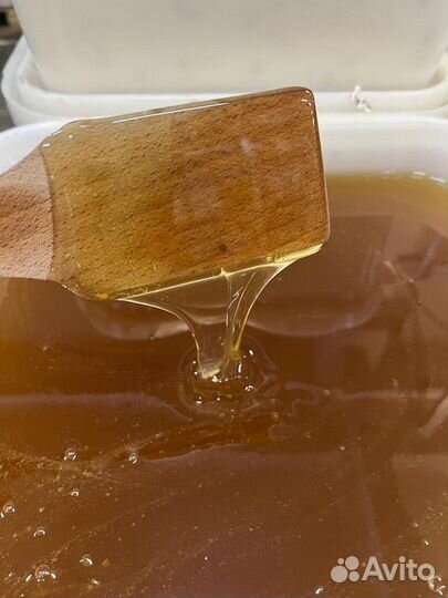 Липовый мёд. Качка 2023 г. Оптом