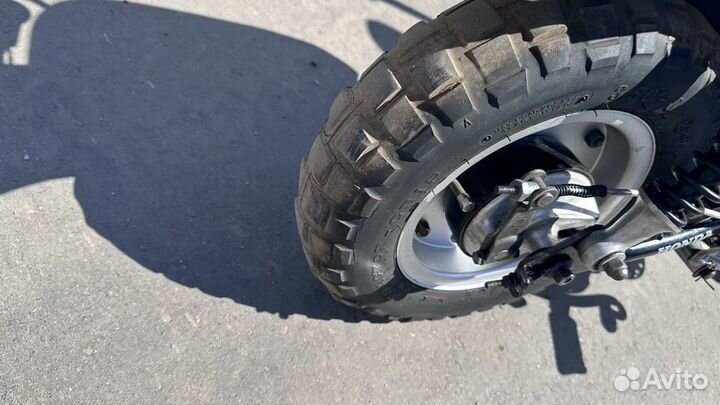 Honda z50 mankey monkey