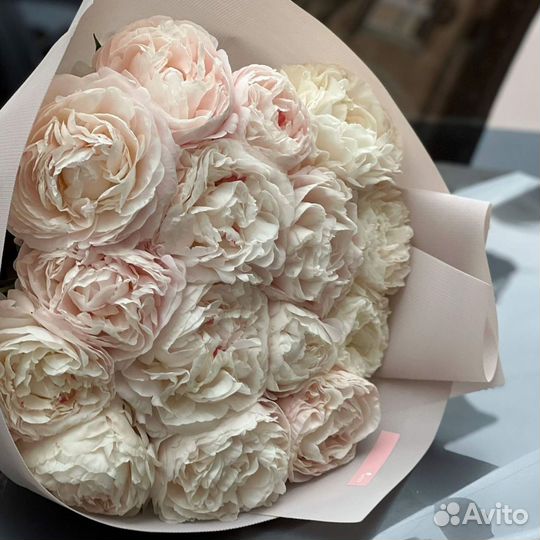 Пионы для подарка