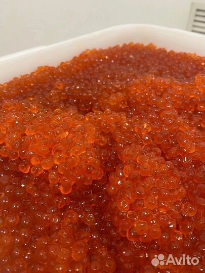 Икра красная кеты Камчатка