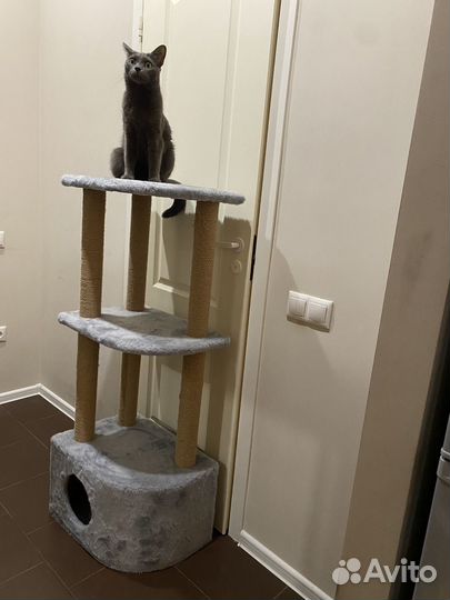 Когтеточка домик для кошки